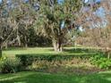 Landscaped backyard with lush greenery and large oak trees at 3000 Nw 79Th Avenue Rd, Ocala, FL 34482