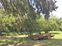 Rustic backyard with a trailer and lush vegetation at 323 Dorsett Ave, Lake Wales, FL 33853