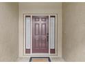 Dark brown front door with sidelights and a small welcome mat at 4432 Waterford Dr, Lake Wales, FL 33859