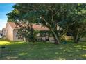 Spacious backyard with lush grass and large shade trees at 3909 Cypress E Lndg, Winter Haven, FL 33884