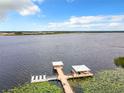 Aerial view of lakefront property with dock at 2516 Pickett Ave, Saint Cloud, FL 34772