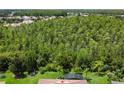 Property backs to lush conservation area with distant neighborhood view at 709 Carmel Ln, Kissimmee, FL 34759