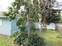 Large backyard with mature trees and grassy area at 1632 N Fullers Cross Rd, Winter Garden, FL 34787