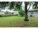 Spacious backyard with large tree and grass at 225 E Pomelo St, Lake Alfred, FL 33850