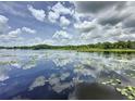 Serene lake view with lush vegetation and cloudy skies at 3921 E Osceola Rd, Geneva, FL 32732