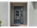 Modern gray front door with glass sidelights and brick walkway at 280 Pendant Ct, Kissimmee, FL 34747