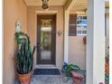 Inviting front entrance with decorative door and potted plants at 350 Balboa Dr, Kissimmee, FL 34759