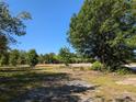 Vacant lot with mature trees and cleared space at 3664 Cord Ave, St Cloud, FL 34772