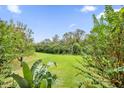 View of a lush green backyard with mature trees at 7650 Whisper Way # 203, Reunion, FL 34747