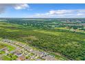 Aerial view of neighborhood and conservation area at 1927 Partin Terrace Rd, Kissimmee, FL 34744