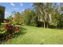 Private backyard with mature trees and tranquil natural landscape at 540 Genoa Dr, Poinciana, FL 34759