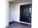 Modern home entrance featuring a black front door and a white side door at 2737 Nottel Dr, Saint Cloud, FL 34772