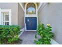 Inviting front entrance with double blue doors and landscaping at 9026 Dry Creek Ln, Orlando, FL 32832