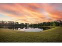 Scenic pond view with lush green grass and sunset sky at 2937 Hooded Crane Cv, Harmony, FL 34773