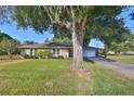 House exterior with a large tree and driveway at 220 Coleman E Dr, Winter Haven, FL 33884