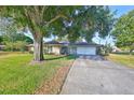 House exterior with a large tree and driveway at 220 Coleman E Dr, Winter Haven, FL 33884