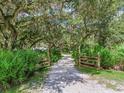 Long driveway leading to home, surrounded by lush trees at 4109 Lake Kotsa Dr, Lake Wales, FL 33898