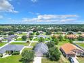 Neighborhood view with houses, yards, and some trees at 5411 Great Egret Dr, Leesburg, FL 34748
