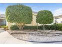 Well manicured landscaping with trimmed shrubs at 2294 Trailwinds Ter, The Villages, FL 32162