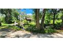 Overgrown lot with various plants and a glimpse of a home in the background at 711 Sunset Ave, Orange City, FL 32763