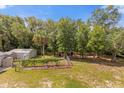 Spacious backyard with shed, grapevine, and lush trees at 3660 Grand Ave, Deland, FL 32720