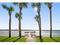 Pathway leading to a private pier with palm trees along the waterfront at 2711 N Halifax Ave # 296, Daytona Beach, FL 32118