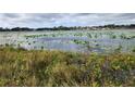 Lakefront property with lush vegetation and cloudy sky at 1216 W Wellington Dr, Deltona, FL 32725