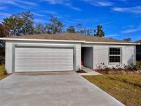 Newly constructed one-story home with attached garage and neat landscaping at 503 St Johns Ct, Kissimmee, FL 34759