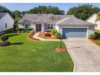 View 3923 Manor Oaks Ct Leesburg FL