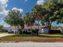 View 5230 Twin Palms Rd Fruitland Park FL