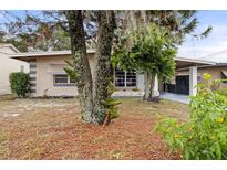 Mid-century modern home with mature landscaping at 1113 Oakland Cir, Tavares, FL 32778
