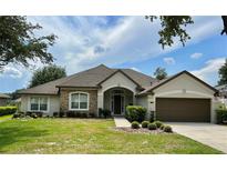 Single-Gathering home with attractive landscaping and two-car garage at 32313 Oak Canopy Dr, Sorrento, FL 32776