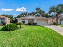 Charming single story home with well maintained lawn at 533 Grand Vista Trl, Leesburg, FL 34748