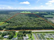 Large wooded lot with road frontage, ideal for development at 3448 Cr 567, Center Hill, FL 33514