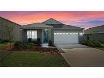 Gray one-story house with white garage door at 1565 Tali Ln, Mount Dora, FL 32757