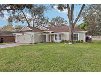 House with a brown roof, green painted walls, and a spacious lawn at 34321 Shadewood Cir, Leesburg, FL 34788