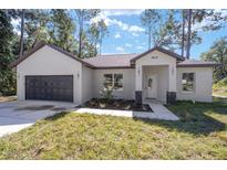 Modern two-car garage home with dark brown garage door at 3611 Se 132Nd Pl, Belleview, FL 34420