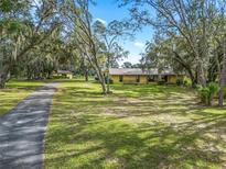 Ranch-style home with a long driveway and mature trees at 36520 Micro Racetrack Rd, Fruitland Park, FL 34731