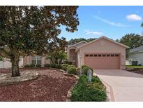 House exterior featuring a pink facade, two-car garage, and landscaping at 4803 Sawgrass Lake Cir, Leesburg, FL 34748