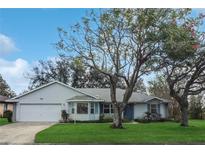 Inviting single-story home with a two-car garage and well-manicured lawn at 21502 King Henry Ave, Leesburg, FL 34748