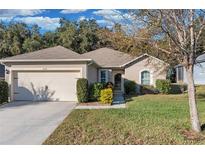 One-story house with attached garage and landscaped front yard at 2354 Valhalla Dr, Tavares, FL 32778