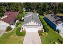 Attractive single-story home with two-car garage, landscaped yard, and desirable curb appeal at 973 Belle Oak Dr, Leesburg, FL 34748