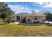 Single-story house with a paved walkway leading to the front entrance at 39320 Harbor Hills Blvd, Lady Lake, FL 32159
