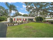 Ranch style home with mature landscaping and large yard at 1281 Gray Ct, Eustis, FL 32726