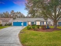 House exterior with blue garage doors, landscaping, and a paved driveway at 4817 Summerbridge Cir, Leesburg, FL 34748