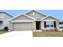 One-story house with gray siding, two-car garage, and landscaping at 716 Se 64Th Ter, Ocala, FL 34472