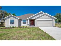 One-story house with gray siding and red door at 1038 Thompson Ave, Frostproof, FL 33843