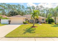 Single story house with attached garage and palm tree at 5452 Saint Regis Way, Port Orange, FL 32128