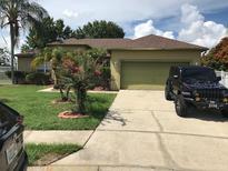 View 2625 Dunraven Ct Kissimmee FL