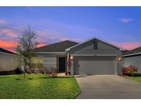 View 3955 Fescue St Clermont FL